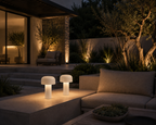 The Lunea Lamp